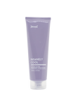 Jeval Insanely Cool Intense Silver Treatment Conditioner 250ml - Beautopia Hair & Beauty